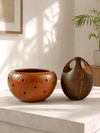 Haritha Combo - One Hanging Coconut Shell Planter and a Terracotta Planter