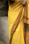 Utsav Combo - Bundle of Two Festive Sarees