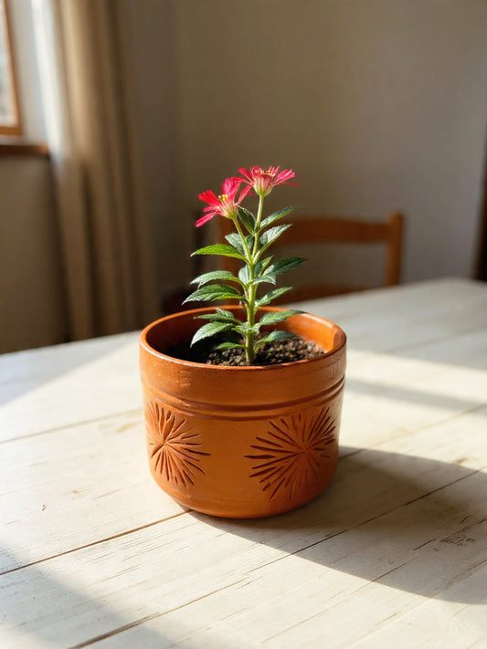 Bhoomika - Terracotta Planter Pot